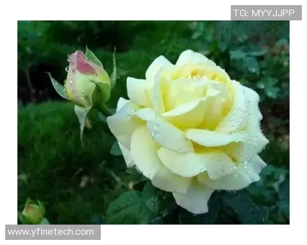 李敏专访：从职业选手到游戏解说的DOTA2人生回顾与感悟